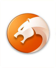 《猎豹安全浏览器》最新版v6.5