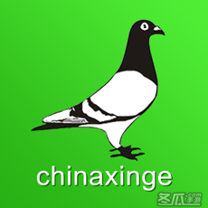 中国信鸽信息网chinaxinge.com