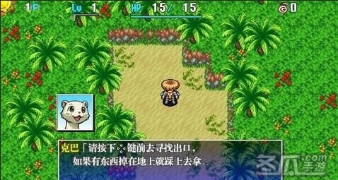 不可思议的迷宫：风来的西林4 简体中文汉化版PSP版