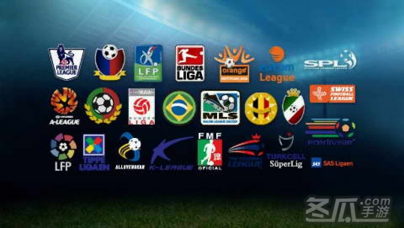 《FIFA 足球09》 欧版NDS版