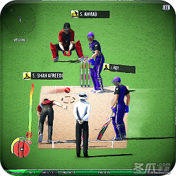 巴基斯坦板球联赛游戏(pakistan cricket league)