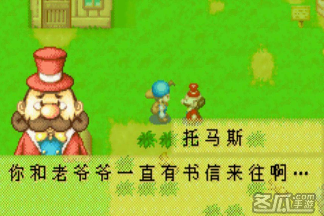牧场物语：矿石镇的伙伴们