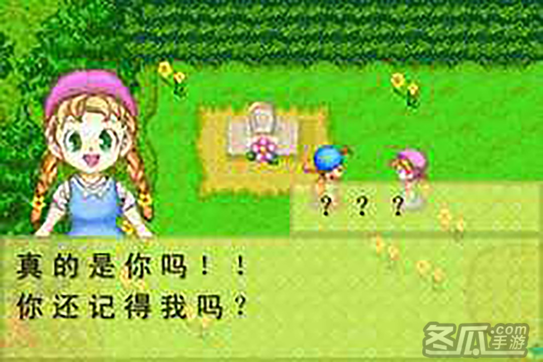 牧场物语：矿石镇的伙伴们