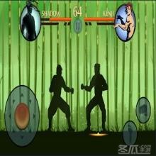 Shadow Fight King