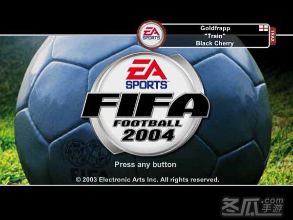 FIFA世界足球2004