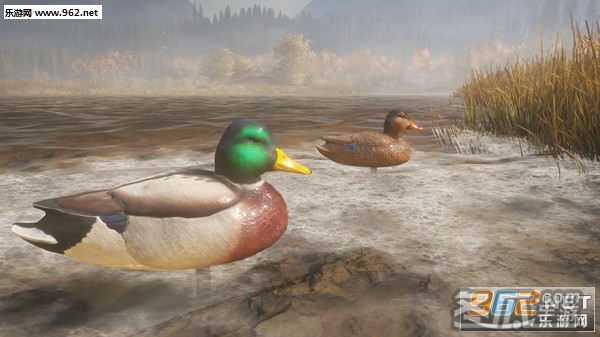 猎人:荒野的呼唤-绿头鸭Steam版