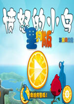 愤怒的小鸟：里约大冒险(Angry Birds Rio) 中文汉化硬盘版