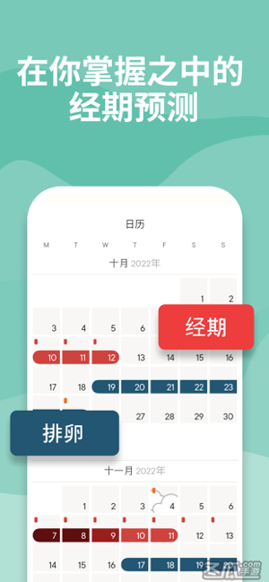 Clue 月经周期跟踪及计算器