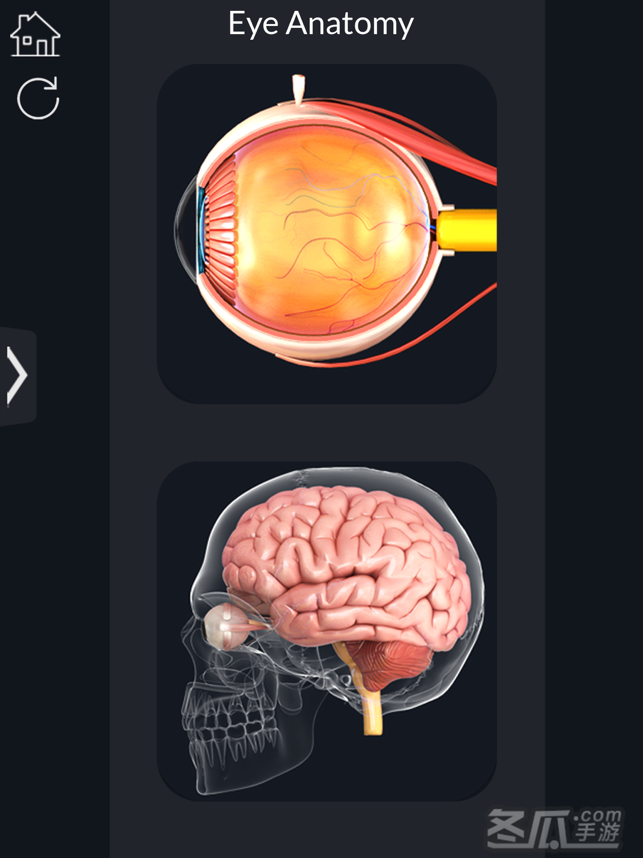 My Eye Anatomy