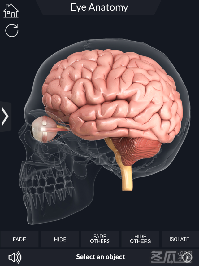 My Eye Anatomy