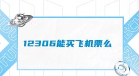 《12306》可以买飞机票吗