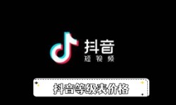 《抖音》等级表价格