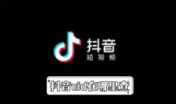 《抖音》uid在哪里查