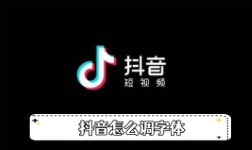 《抖音》怎么调字体