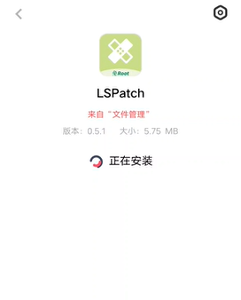 lspatch模块仓库